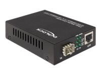 DeLOCK Delock Media Converter Base-T to 100 Base-X SFP Fibermedieomformer Ethernet Fast Ethernet Gigabit Ethernet