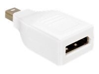 Delock DisplayPort adapter Hvid