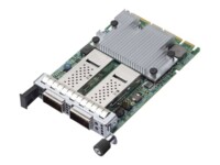 Broadcom NetXtreme E-Series N2100G Netværksadapter PCI Express 4.0 x16