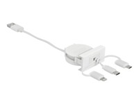 Delock Easy Lightning-kabel 50cm Hvid