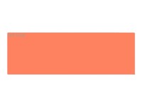 Seiko Instruments SLP-1OLB Adresseetiketter 28 x 89 mm 130etikette(r)