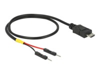 Delock USB / strøm kabel 30cm Sort