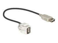 Keystone Delock USB A Buchse 250° mit Kabel