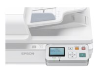 Epson Network Scan Module Scannerserver 1000Mbps