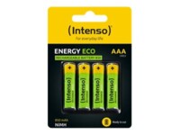 Intenso 7505114 Standardbatterier 4 stk