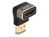 Delock HDMI-adapter med Ethernet Sort Grå