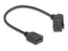 Delock DisplayPort kabel 30cm Sort