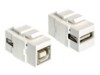 Delock Keystone module USB 2.0 A female > USB 2.0 B female