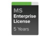 Cisco Meraki Enterprise Online & komponentbaserede tjenester 5 år