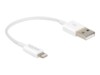 DeLOCK Lightning-kabel 15cm