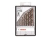 Bosch Robust Line HSS-Co Borebitsæt