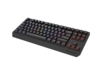 GENESIS Thor 230 TKL Tastatur Mekanisk RGB Kabel & trådløs US engelsk