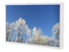 HI-ND Wall Casing PROTECT Monteringssæt LCD display 65'
