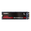 EMTEC SSD Power SSD X250 1TB M.2 SATA-600