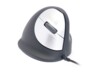 R-Go HE Mouse Ergonomisk mus, Stor (over 185mm), Højre, med kabel Kabling Sort Sølv