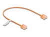 DeLOCK CAT 6 Ikke afskærmet parsnoet (UTP) 30cm Patchkabel Orange