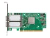 Mellanox ConnectX-5 EN Netværksadapter PCI Express 3.0 x8 25Gbps