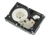 Dell Harddisk 2TB 3.5' SATA-600 7200rpm