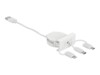 Delock Easy Lightning-kabel 50cm Hvid