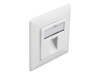 Delock Keystone Wall Outlet 1 port