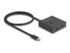 DeLock Video splitter/kontakt 2 porte USB