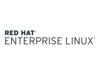 Red Hat Enterprise Linux for SAP Application Virtual Datacenters Linux 1 licens 3 år