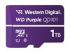 WD Purple WDD100T1P0C-85AEL0