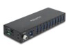 Delock Industry Hub 10 x USB 5 Gbps Type-A with 8 kV ESD protection and DIN rail mounting