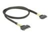 DeLOCK Serial Attached SCSI (SAS) internt kabel Sort 1m