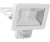 LED outdoor floodlight, 30 W, with motion sensor, white