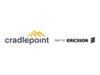 Cradlepoint NetCloud Enterprise Branch Essentials + Advanced Plan Online & komponentbaserede tjenester 1 år