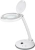 LED Magnifying Lamp with Base, 6 W