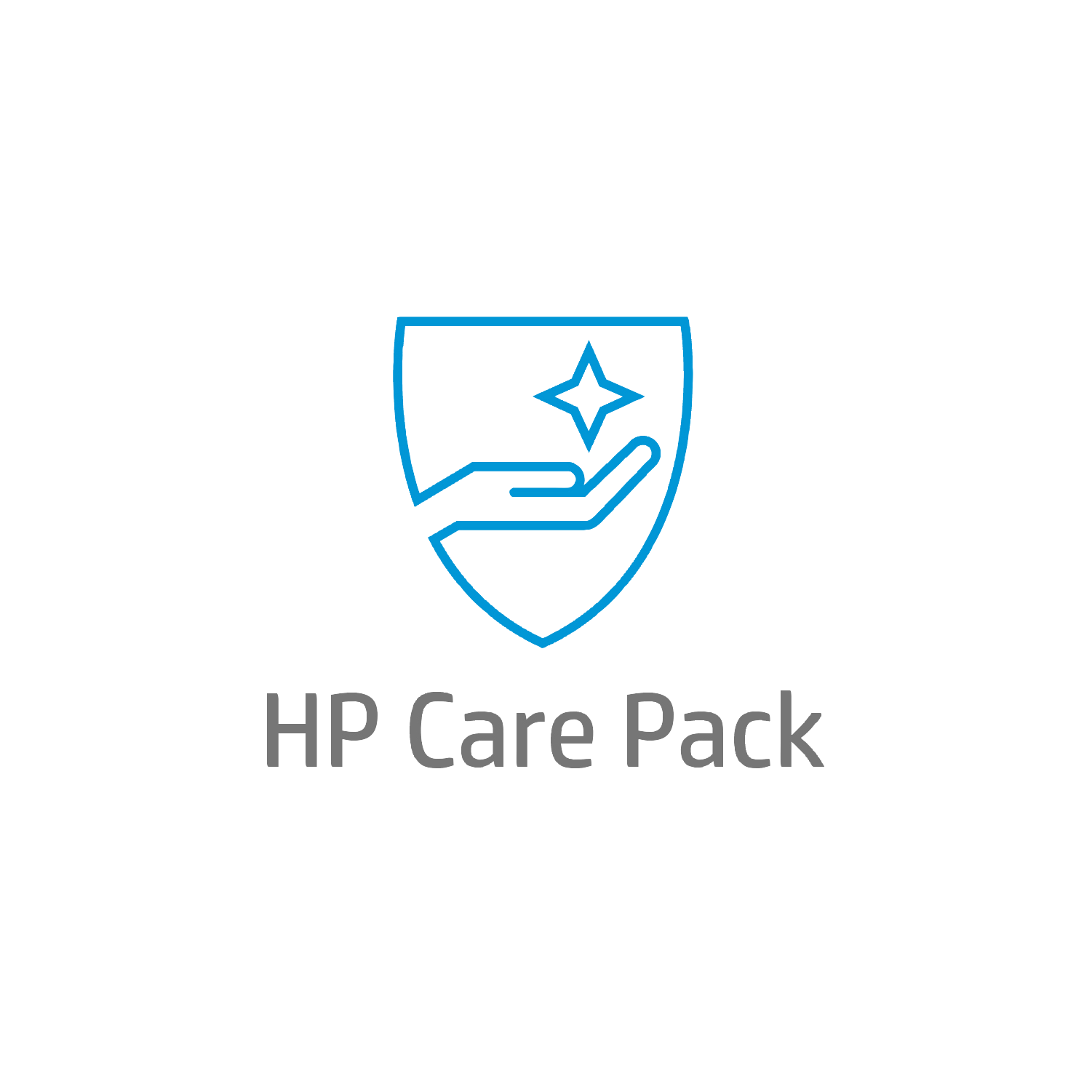 Electronic HP Care Pack Next Business Day Hardware Exchange