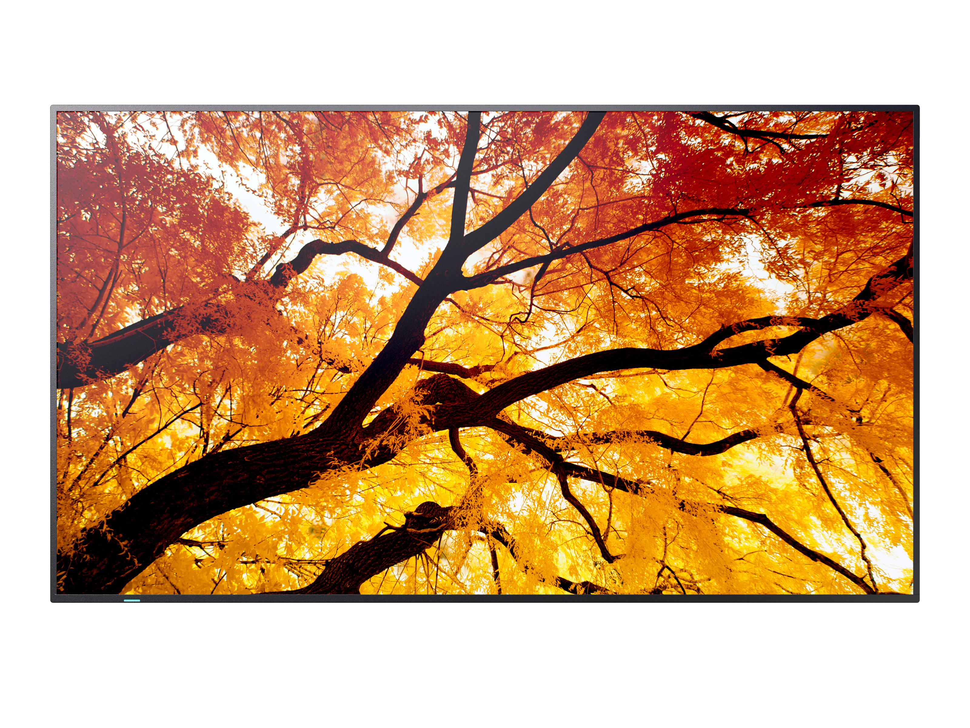 M752 75IN UHD LFD D-LED